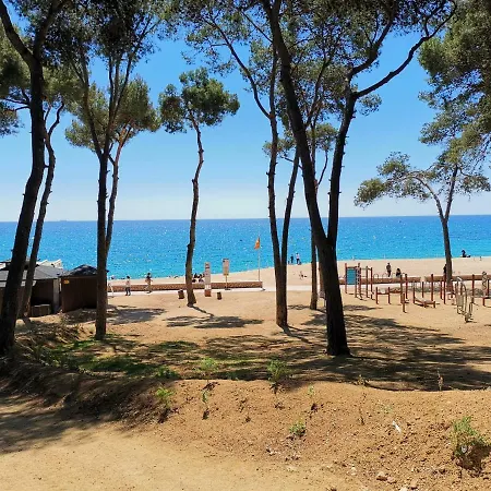 Tulipan 2_playa Fenals Apartamento Lloret de Mar
